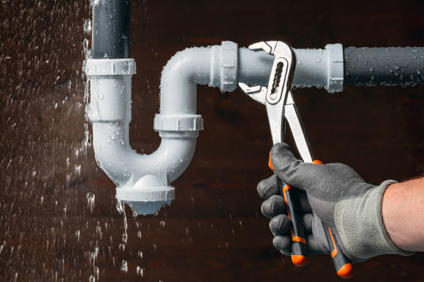 Professional Plumbing technician working in Rodman, NY